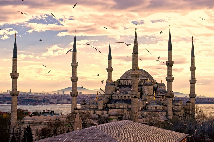 The Blue Mosque in Istanbul with birds flying