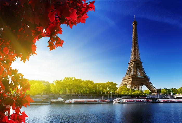 Eiffel Tower and Seine River in Paris with Red Leaves