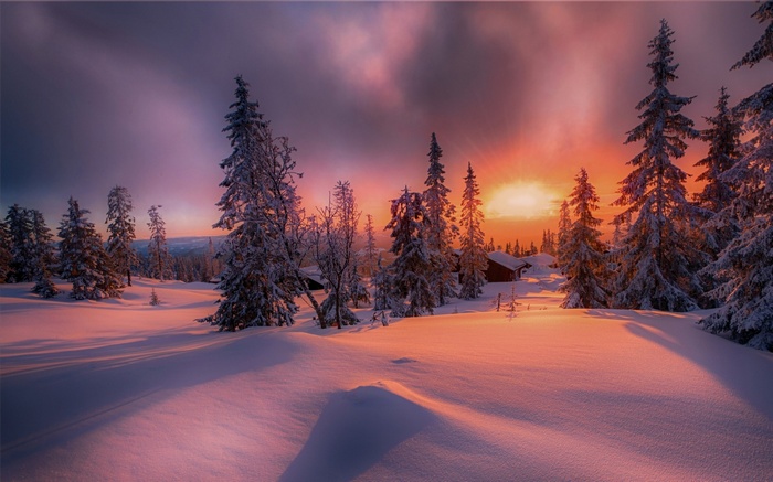 Winter sunset over a snowy forest with a cottage