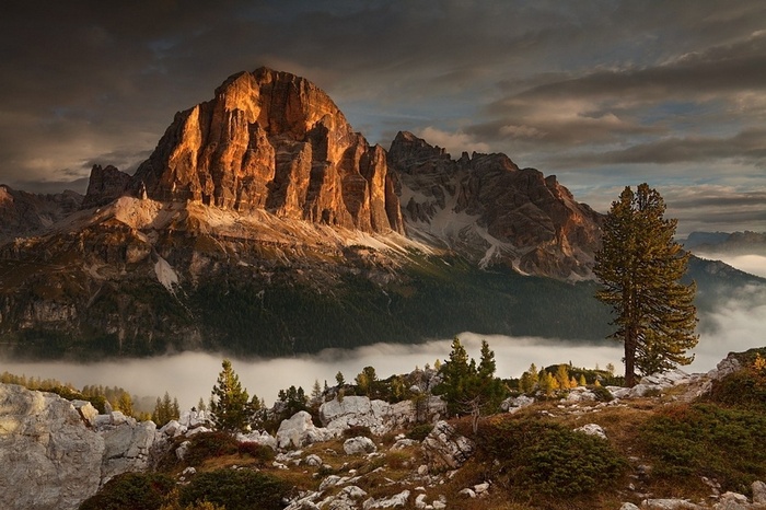 Dolomites mountains with mist and trees at sunset