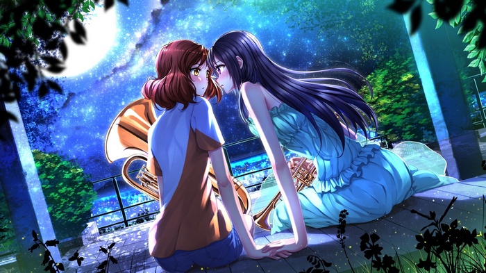 Hibike! Euphonium: Reina and Kumiko under the starry sky