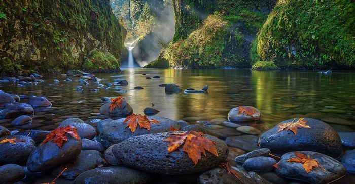 River flowing through a mossy canyon with a waterfall