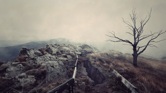 Misty mountain landscape with a dead tree