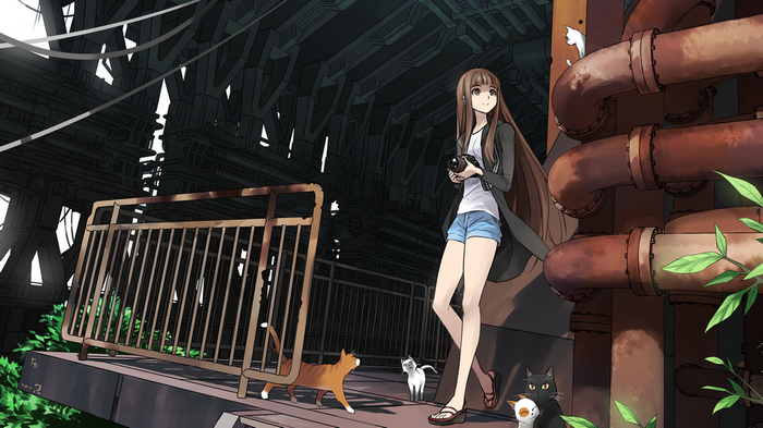 Anime girl with camera and cats in industrial setting