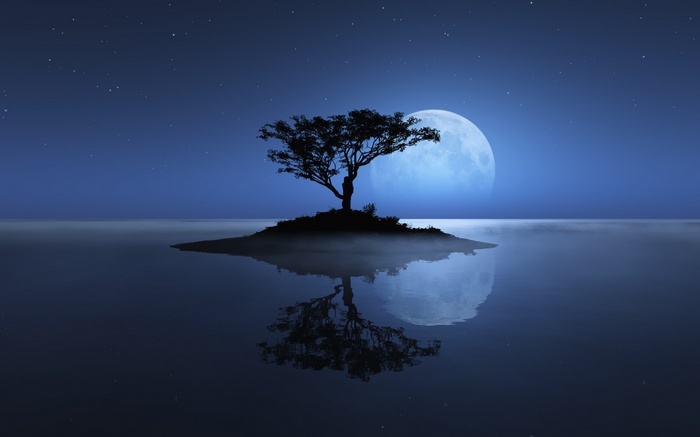 Lone tree on an island under the moon