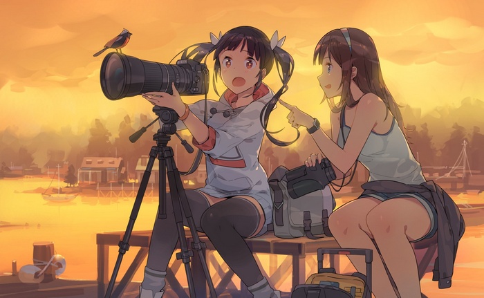 Anime girls with cameras and a bird at sunset