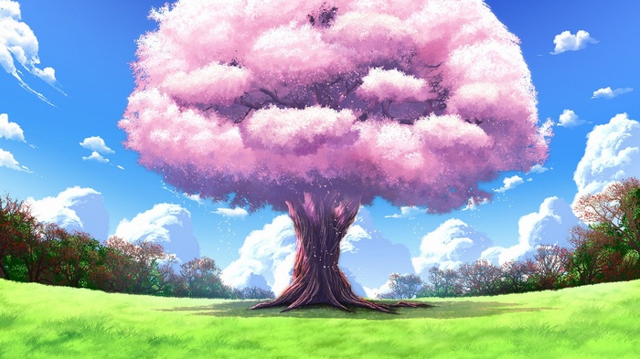 A giant cherry blossom tree in a green field