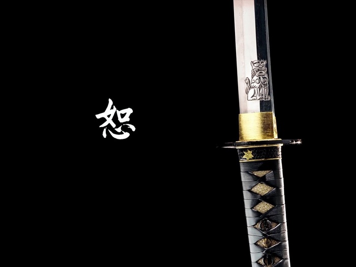 Katana with Japanese calligraphy and lion ornament