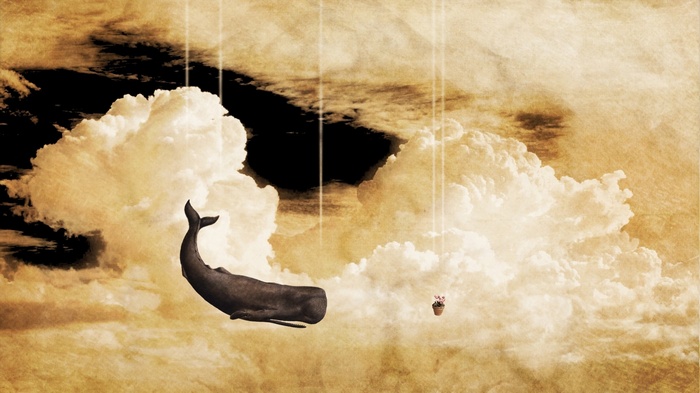 Whale and flower pot falling through clouds