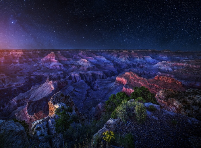panoramas, shrubs, erosion, starry night, Arizona, Grand Canyon, long exposure, nature, landscape
