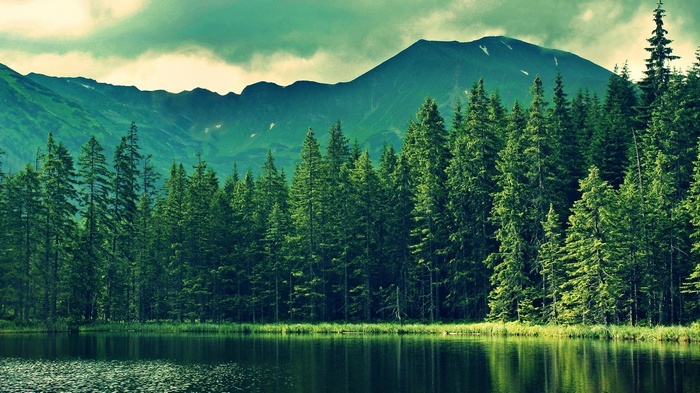 Lake and forest with mountains in the background