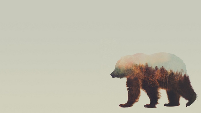 Andreas Lie Double Exposure Bear and Forest