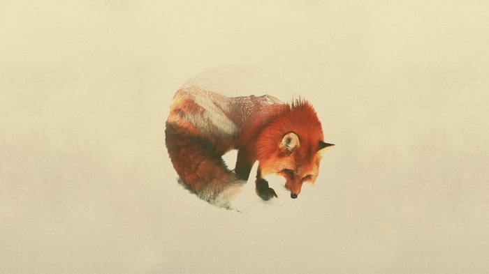 Double exposure of a fox and mountains by Andreas Lie