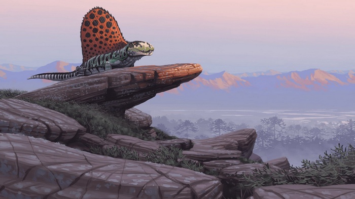 Dimetrodon on a rocky outcrop with mountains in the background