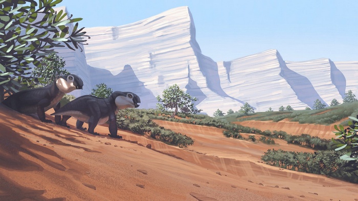 Two dinosaurs in a prehistoric landscape