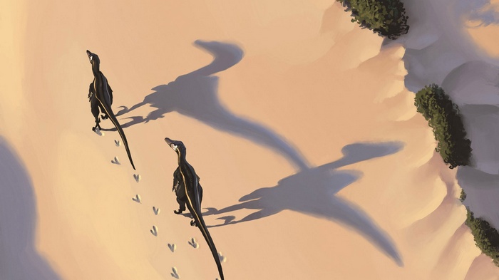 Dinosaurs walking in a sandy landscape