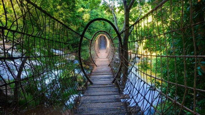 Suspension bridge over a river in a forest