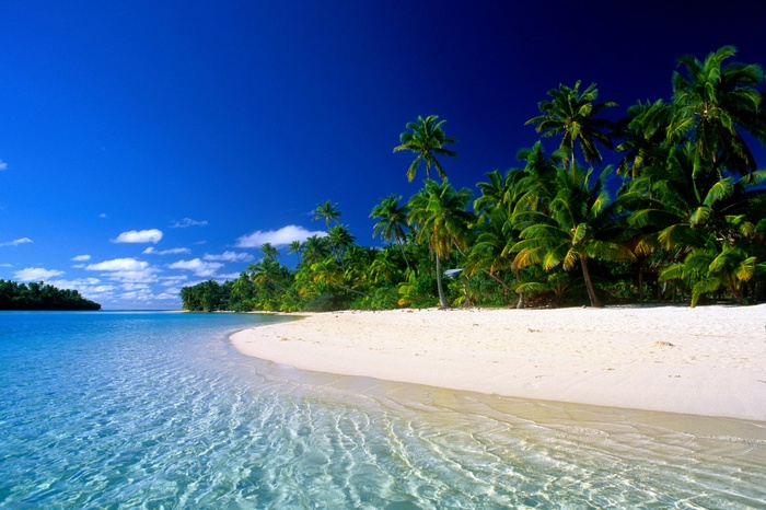 Tropical beach with palm trees and clear blue water