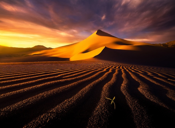 Desert landscape with sand dunes at sunset