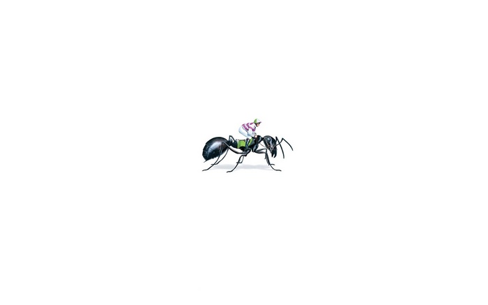 Ant with a jockey riding on its back