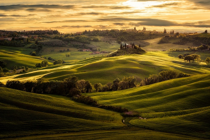 Tuscany landscape with rolling green hills at sunset