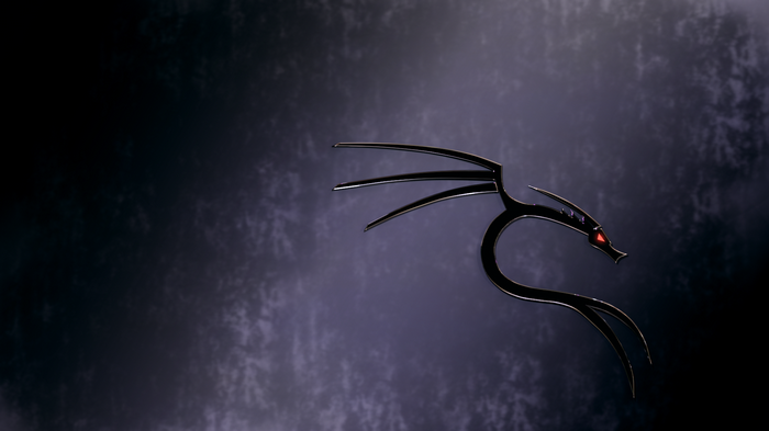 MSI, Kali Linux NetHunter, Linux, dragon, Kali Linux, backtrack