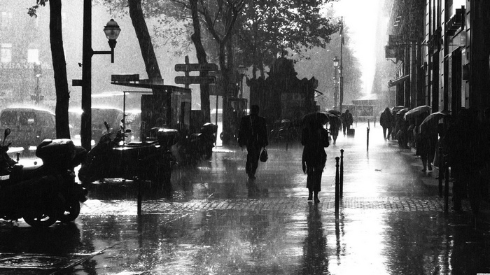People walking with umbrellas in the rain