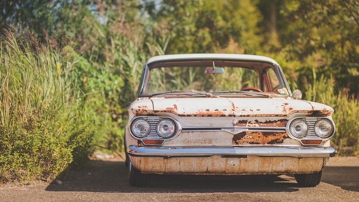 Rusty Chevrolet car parked near greenery