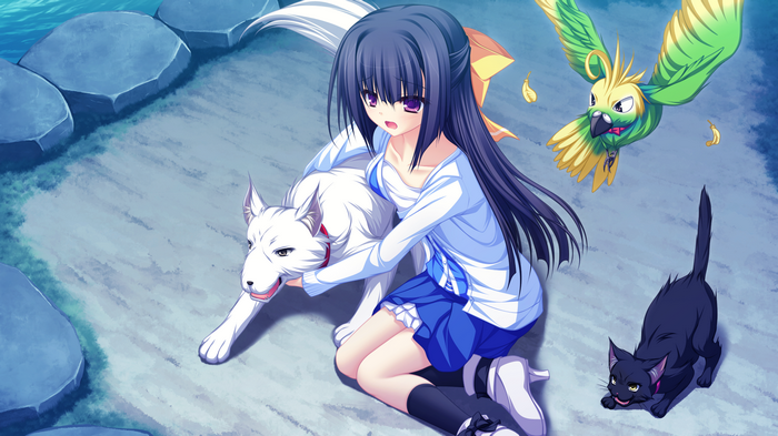 Minase Yukari with dog, cat, and bird