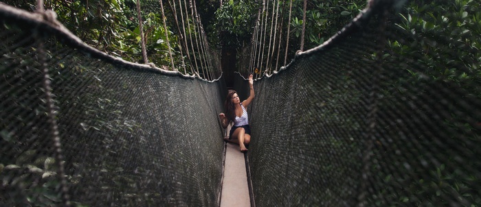 Woman on a canopy bridge in a forest