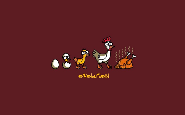 Chicken evolution from egg to roasted chicken