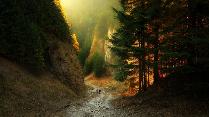 People walking on a dirt road through a forest canyon at sunset