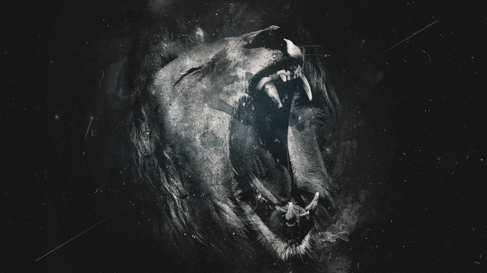 Close-up of a roaring lion's head