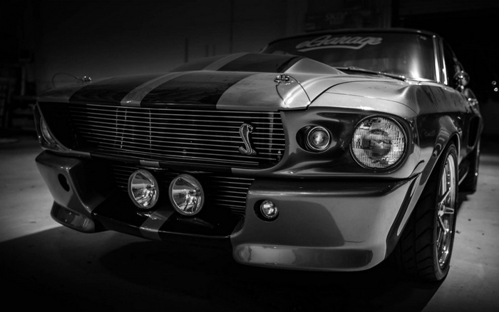 Monochrome Ford Mustang Shelby GT500