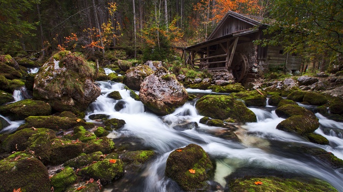 Old mill by a river in a forest