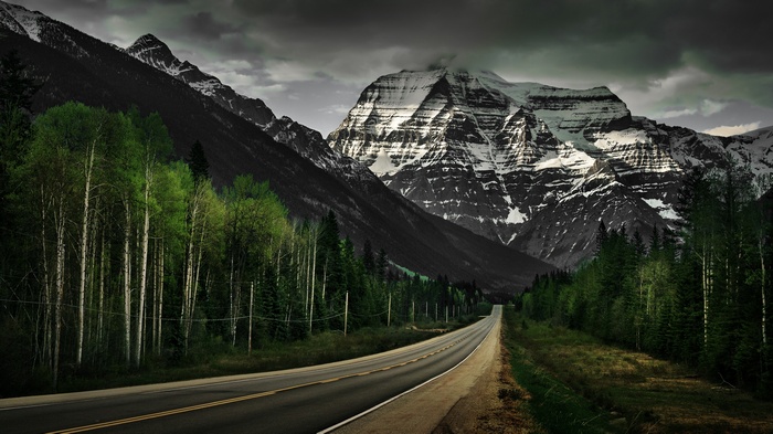 Snow-capped mountains and a road through a forest