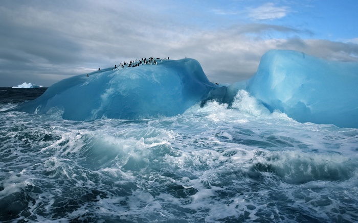 Penguins on a blue iceberg in rough seas