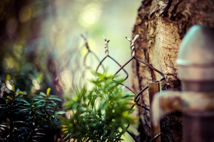Macro shot of a fence with bokeh and tree bark