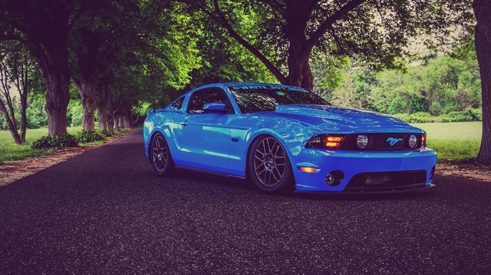 Blue Ford Mustang on a Tree-Lined Road