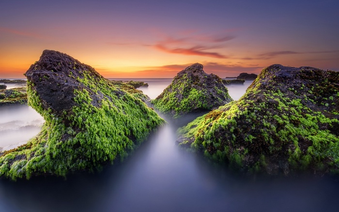 Mossy rocks in the sea at sunset with long exposure