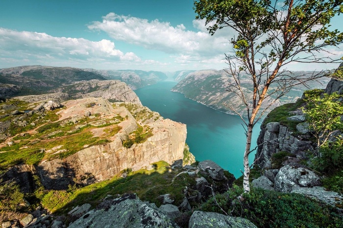 Preikestolen cliff overlooking a Norwegian fjord