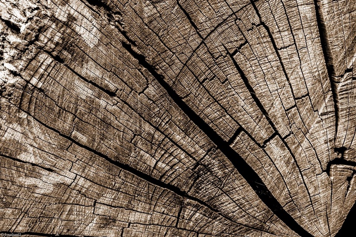 wood, sepia, brown, wooden surface, texture, pattern, cracked