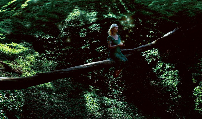 Woman sitting on a fallen tree in a forest
