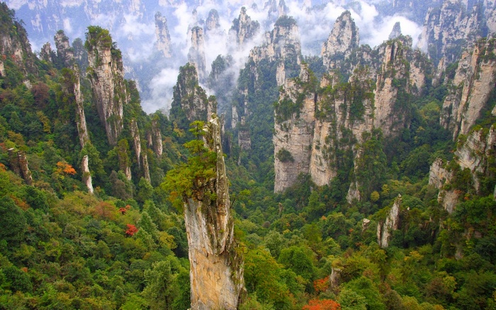 Wulingyuan National Park limestone pillars and forest