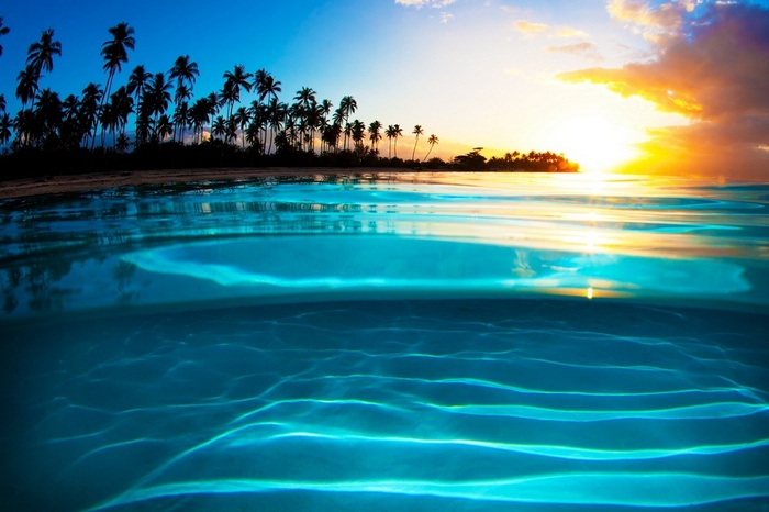 Tropical beach with palm trees at sunset over the ocean