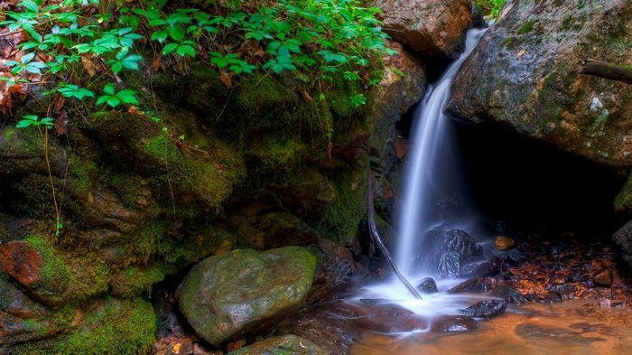 Mossy rocks and a small waterfall in a forest
