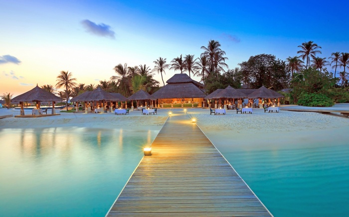 Maldives beach resort with palm trees and a wooden dock
