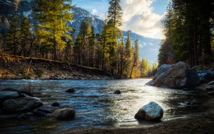River flowing through a forest with mountains in the background