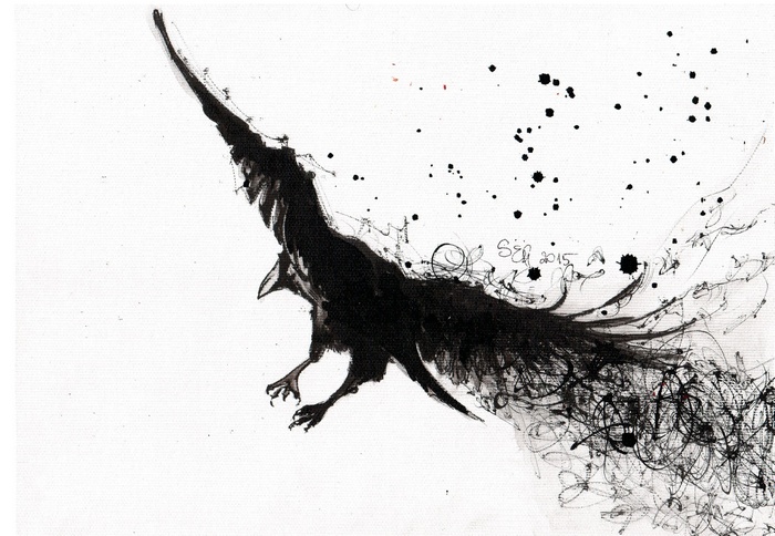 Black raven in flight, ink painting