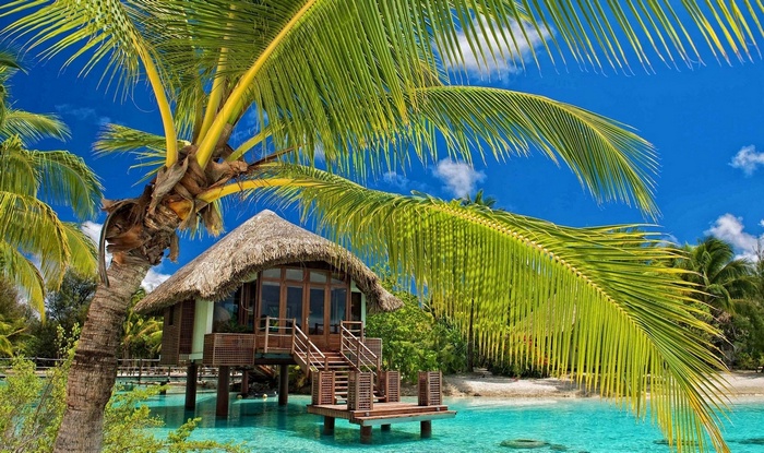 Tropical bungalow on stilts over turquoise water with palm trees